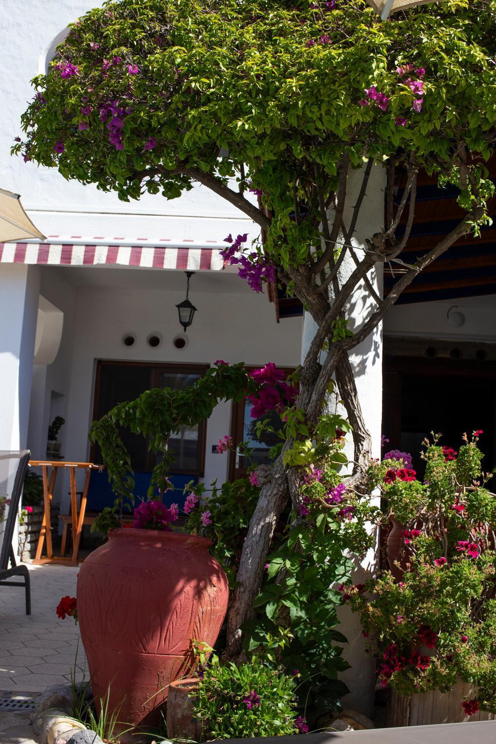 Uzhan Beach Hotel Bitez Esterno foto