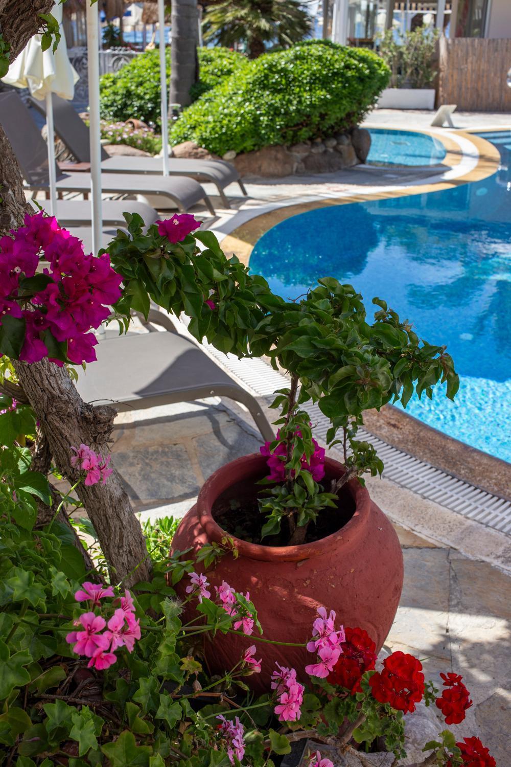 Uzhan Beach Hotel Bitez Esterno foto