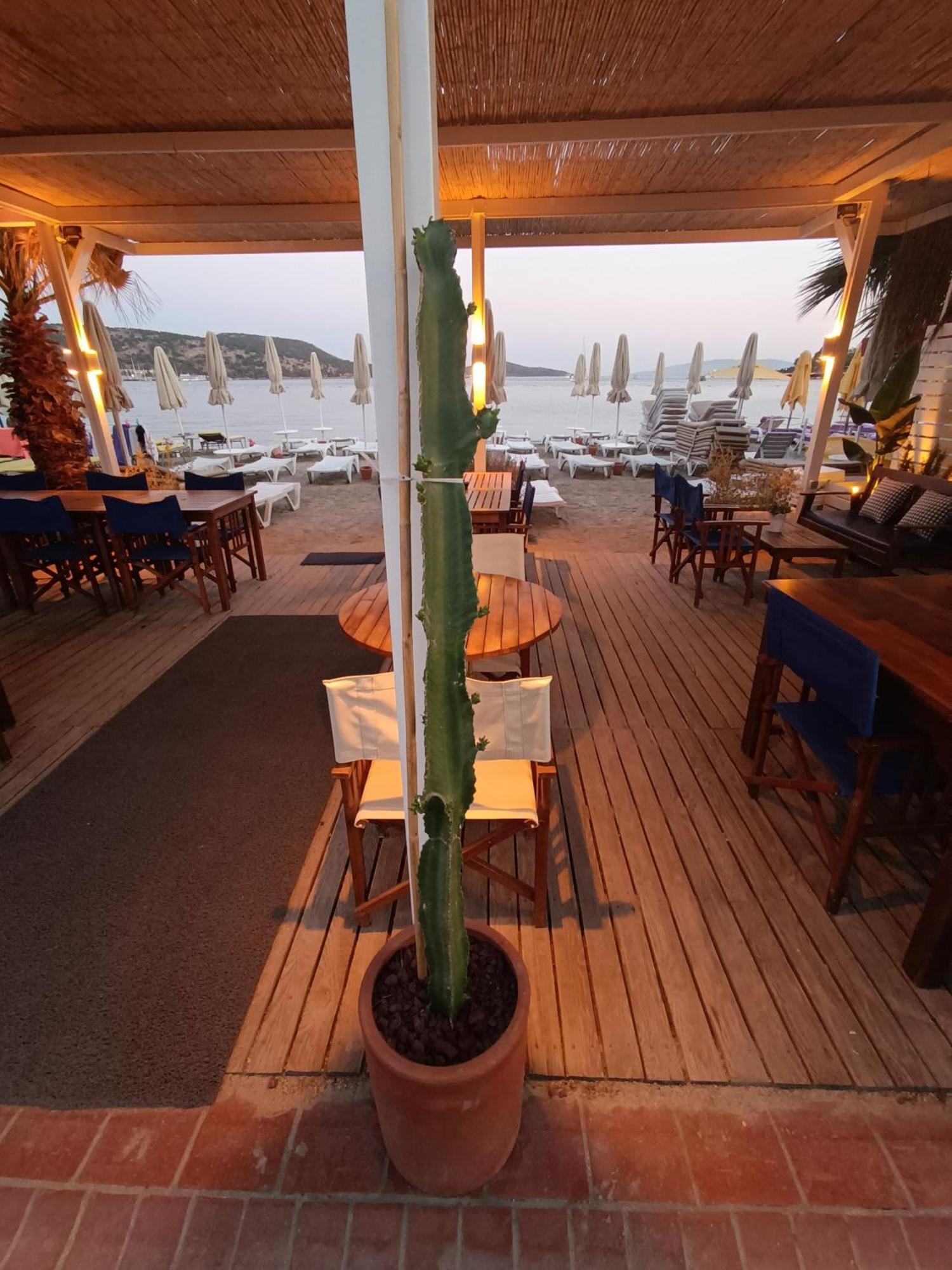 Uzhan Beach Hotel Bitez Esterno foto